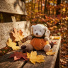 Мишка-тыковка Ziggy Pumpkin, 15см  